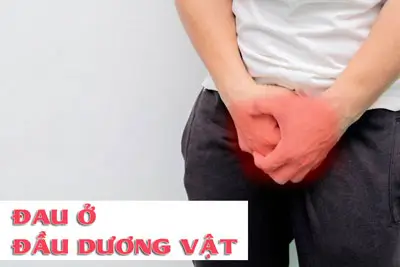 Đau ở đầu dương vật nguyên nhân do đâu cách điều trị