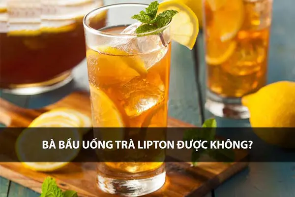 Giải đáp: Mẹ bầu uống trà lipton được không?