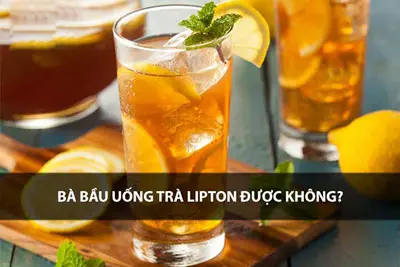 Bầu uống trà lipton được không? BS Trần Thị Thành giải đáp