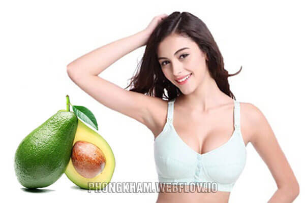 Quả bơ giúp tăng vòng 1 hiệu quả