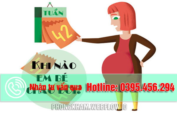 Cách tính ngày dự sinh chính xác nhất ONLINE cho bà bầu