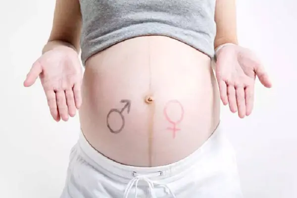 Hình dáng và độ cao của bụng bầu