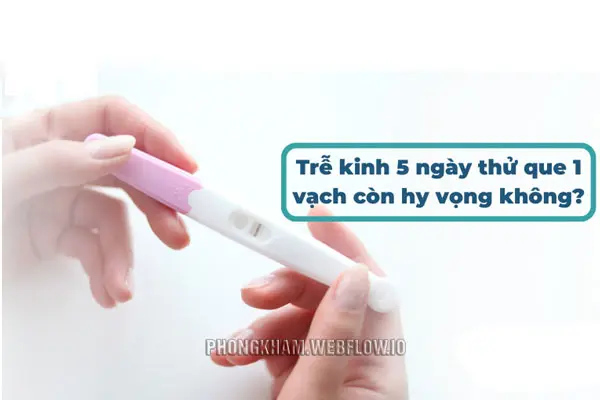 Trễ kinh 5 ngày thử que 1 vạch còn hy vọng không?