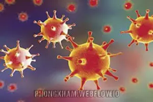 Virus HSV là gì? Xét nghiệm HSV ở đâu Hà Nội tốt nhất [TOP 11]