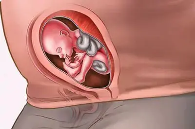 Thai 23 tuần nặng bao nhiêu? BS Thành tư vấn