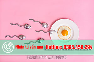 TOP 9+ thực phẩm nên ăn để dễ thụ thai, trứng khỏe ở phụ nữ