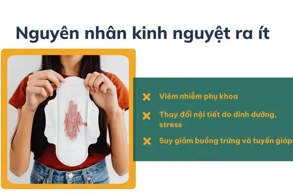 Kinh nguyệt ra ít cảnh báo điều gì?