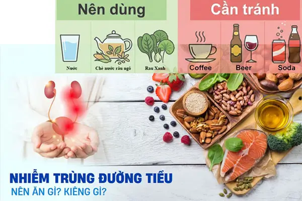 Thức uống thiên nhiên: Hỗ trợ kháng khuẩn & lợi tiểu hiệu quả