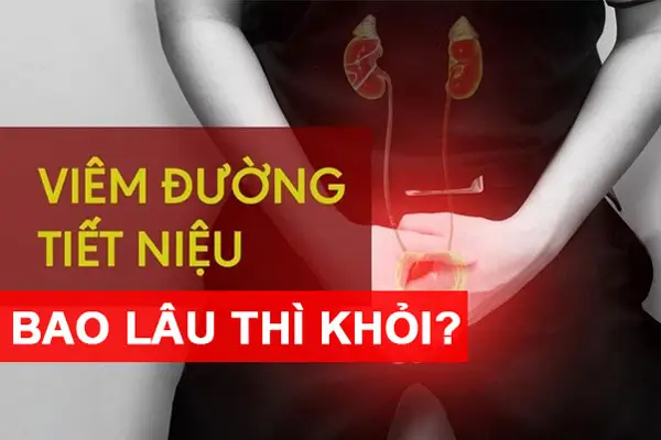 Viêm đường tiết niệu bao lâu thì khỏi
