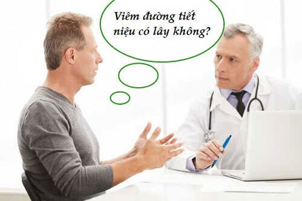 Viêm đường tiết niệu có lây không?