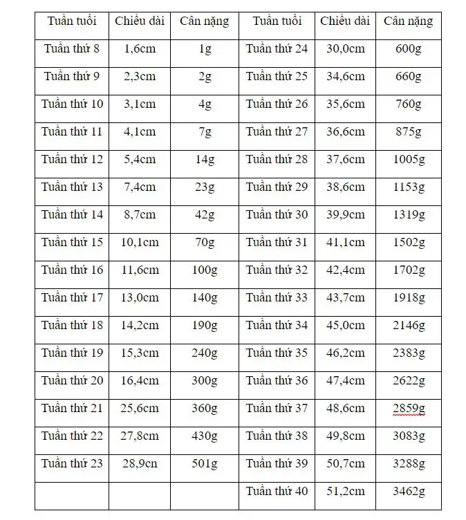 Bảng cân nặng thai nhi theo tuần tuổi chuẩn quốc tế 2026 WHO