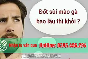 Đốt sùi mào gà ở đâu tốt sau bao lâu thì khỏi? BS Vũ Hồng Lần giải đáp