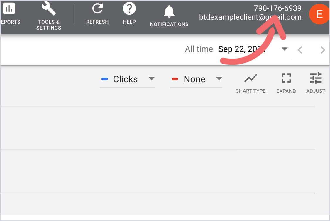 Pink arrow pointing at the Google Ads customer ID.