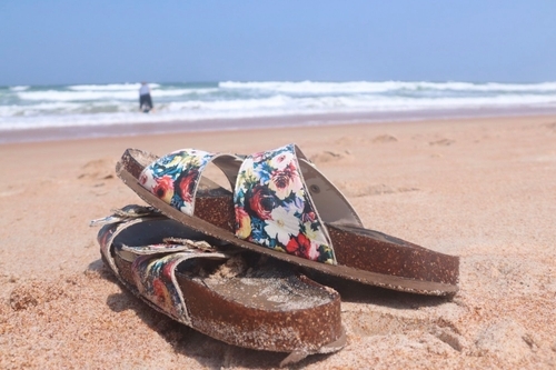 The Beautiful Nature of Ormond Beach