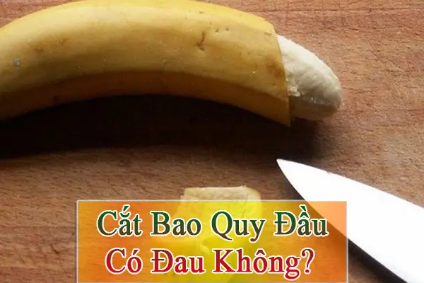 Cắt bao quy đầu có đau không? 10 Địa chỉ nào cắt bao quy đầu an toàn tại Hà Nội