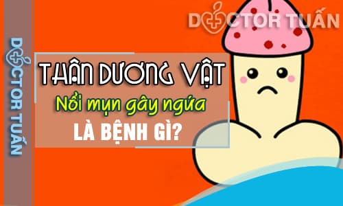Thân dương vật nổi mụn gây ngứa