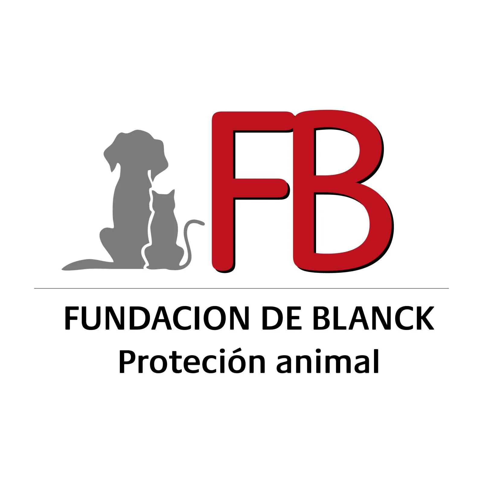 Fundacion de blanck