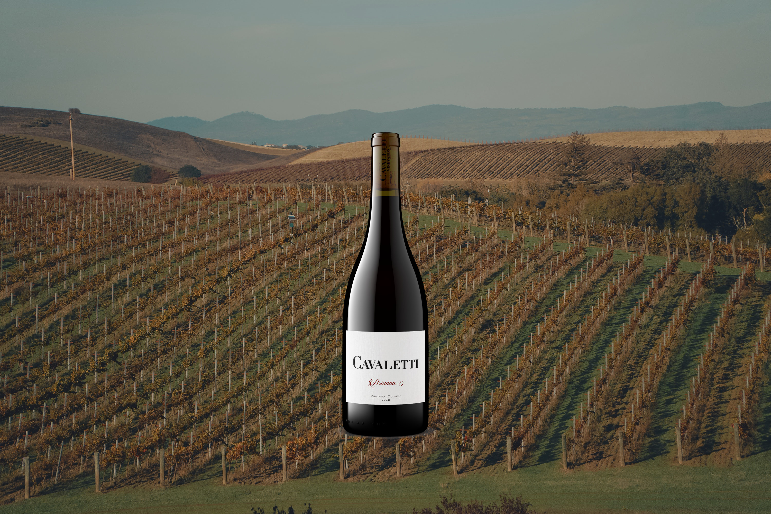 Southern California wine