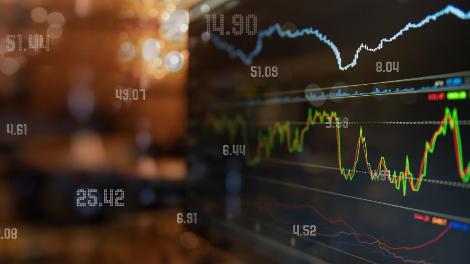 Investing Screen for IPO