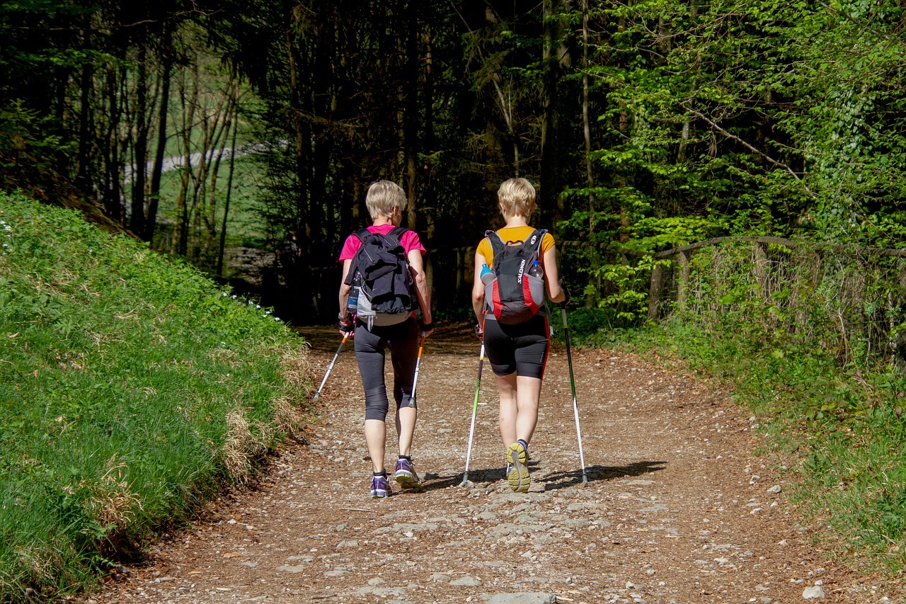What Is a Pedometer, and How Do You Use One?