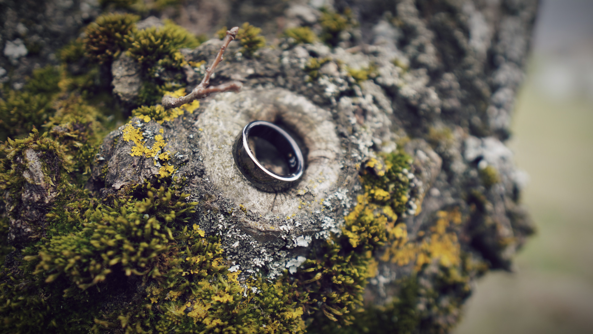 Why ECG is a Game Changer in Circular Ring 2 — And How to Use It Right