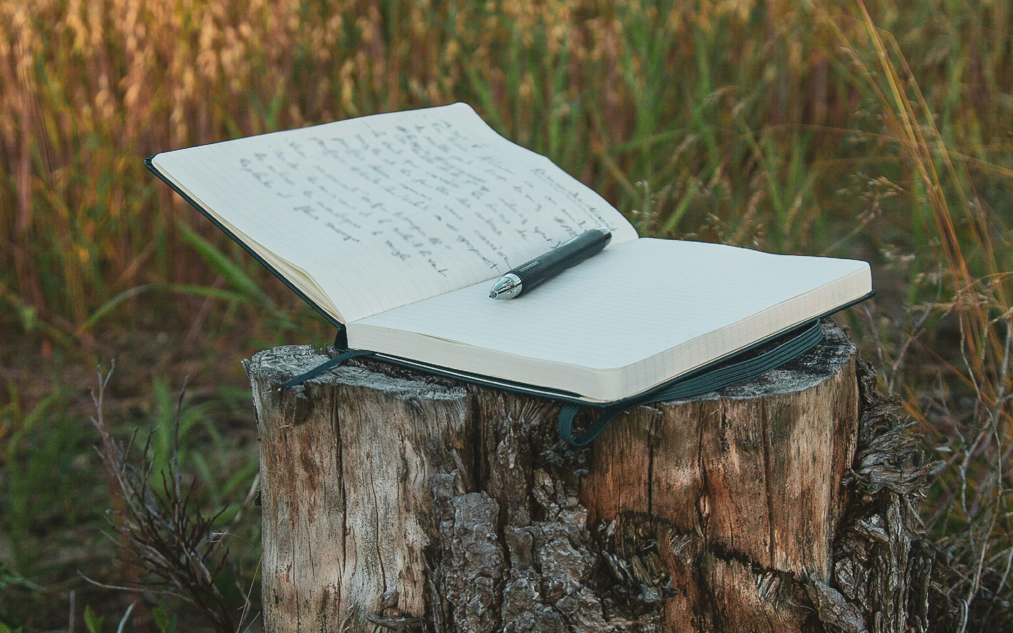 Open notebook with handwritten notes and a pen resting on the blank page, placed on a weathered tree stump in a grassy field.