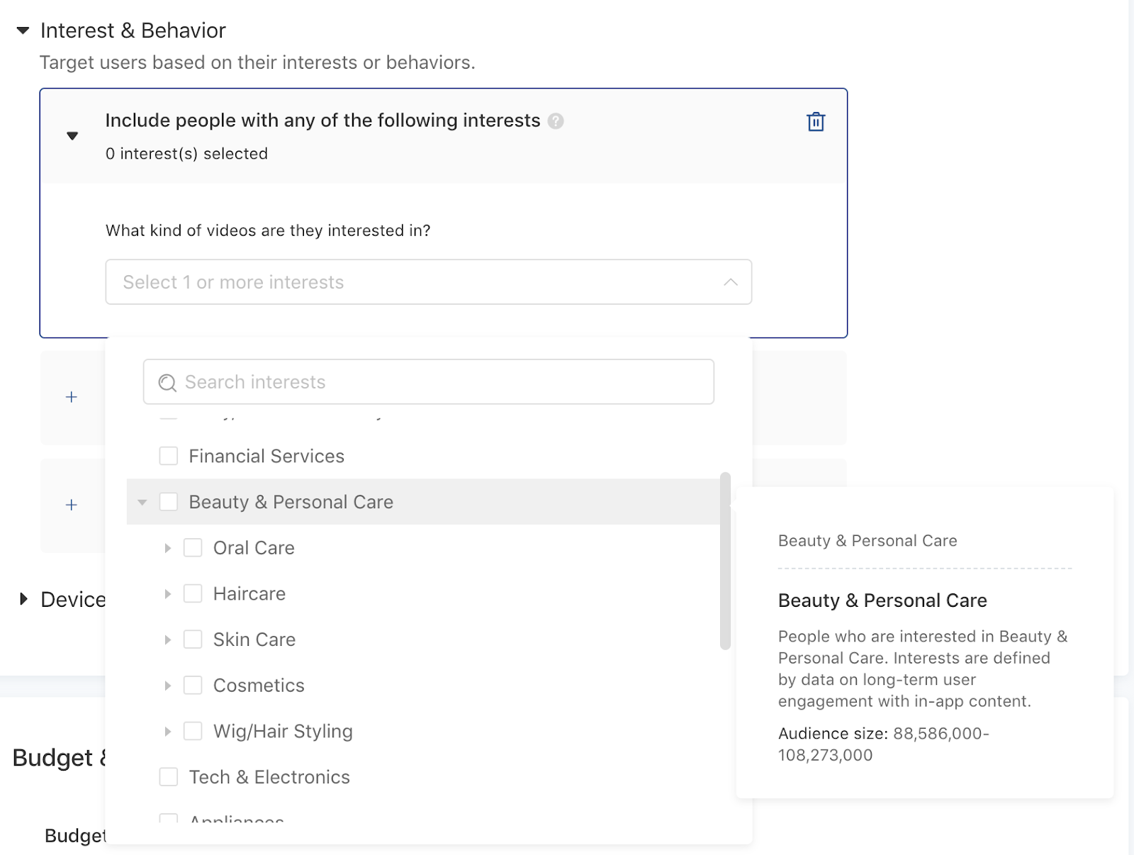 TikTok Ads Manager - audience targeting