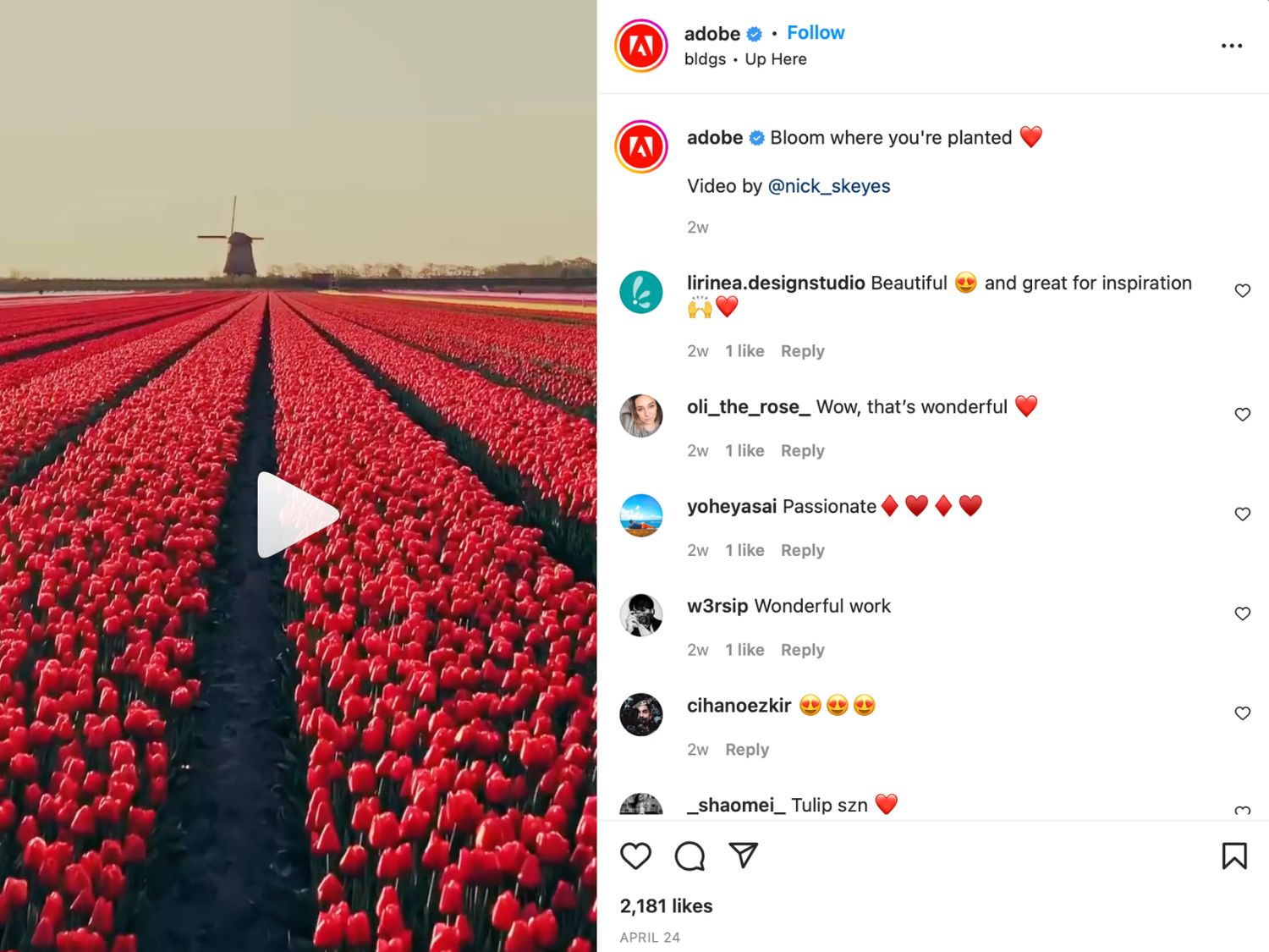 user-generated content