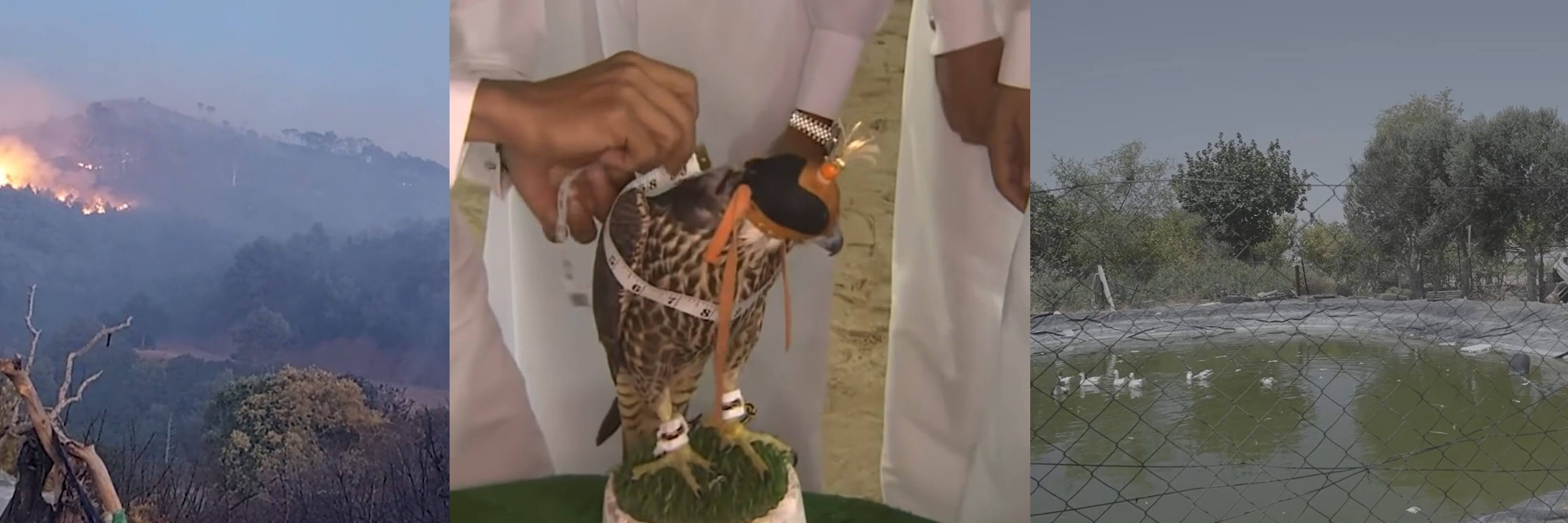 Rewriting Climate Headlines