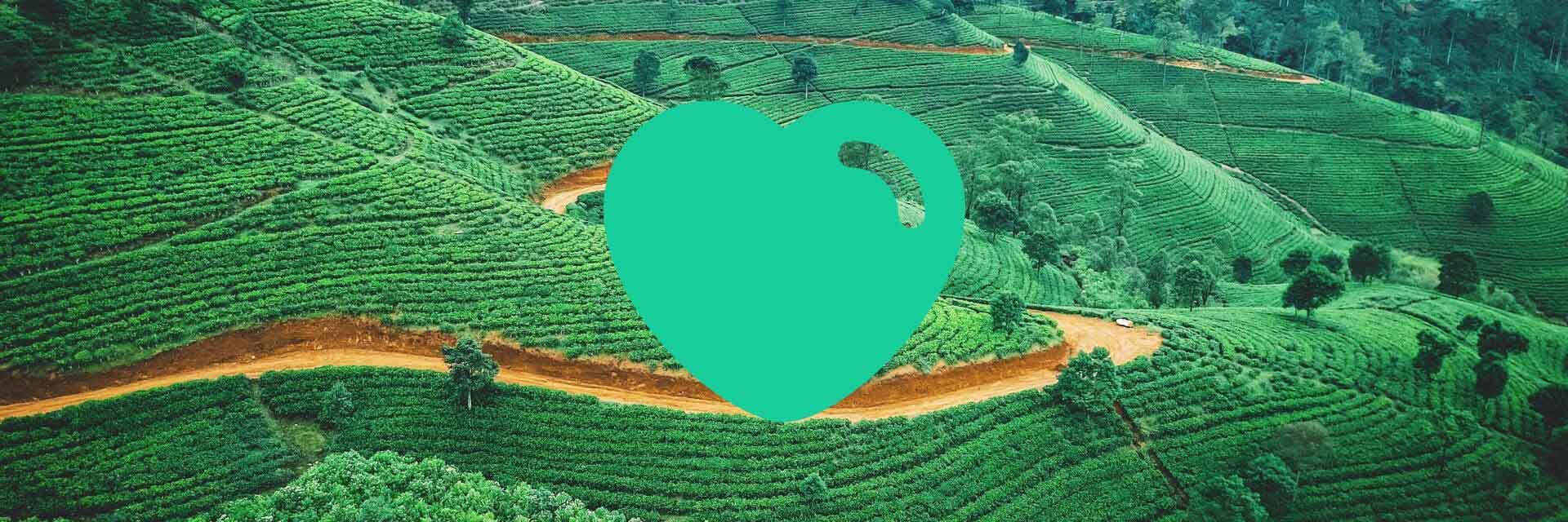 Re:Agriculture II - Food and Farming on a Healthy Planet 