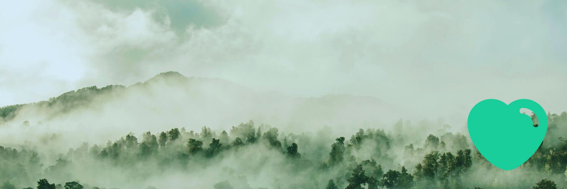 Helping to solve climate change, from seed to forest