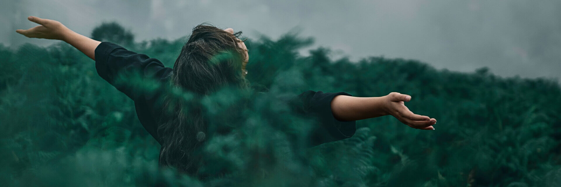 Stockholm Climate Week – Food & Agriculture