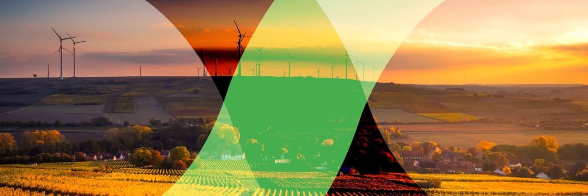 Day 6, Exponential Solutions: Food & Nature