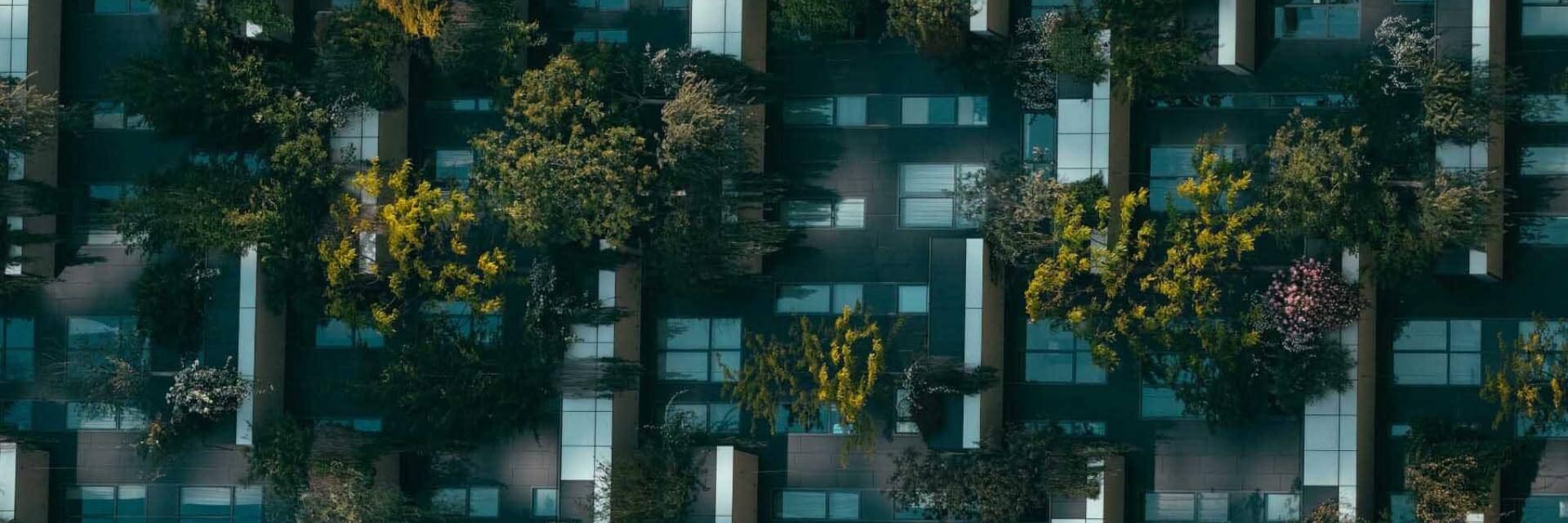 Day 10, Solutions & Cities