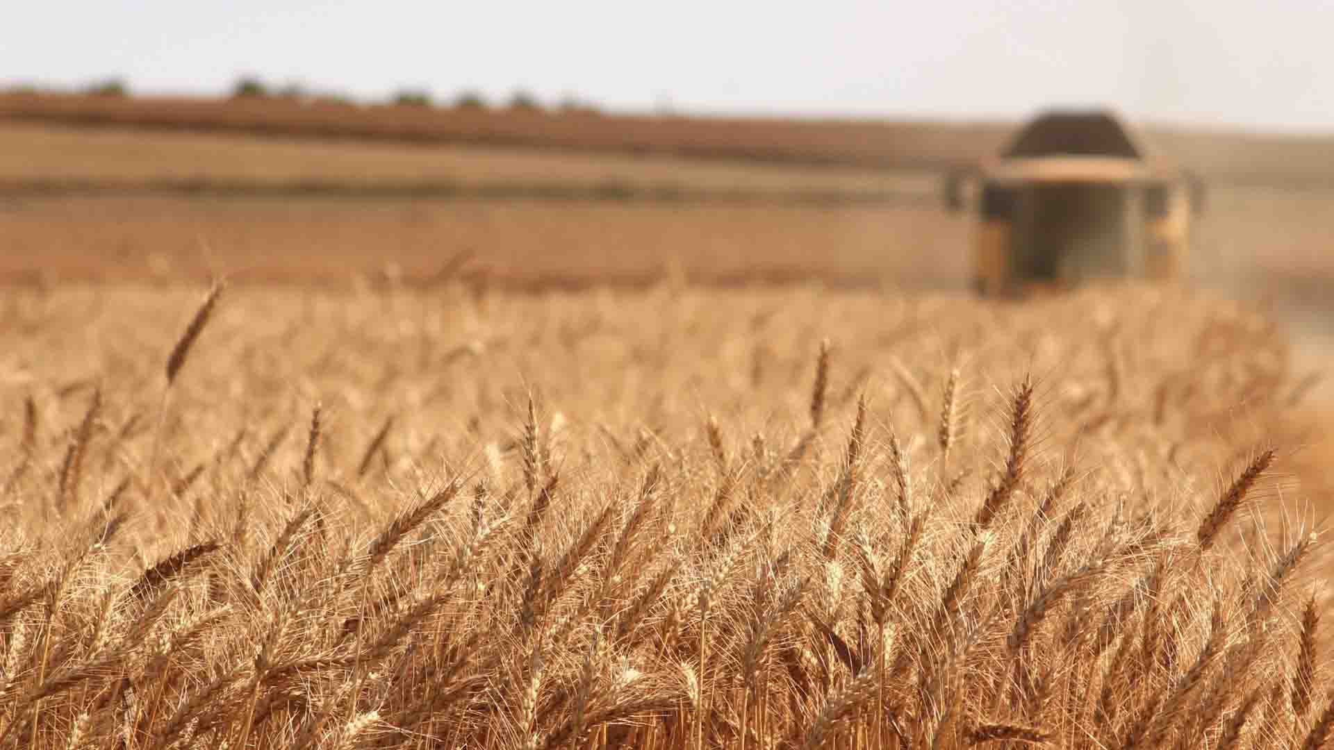 Securing global food systems – the circular way