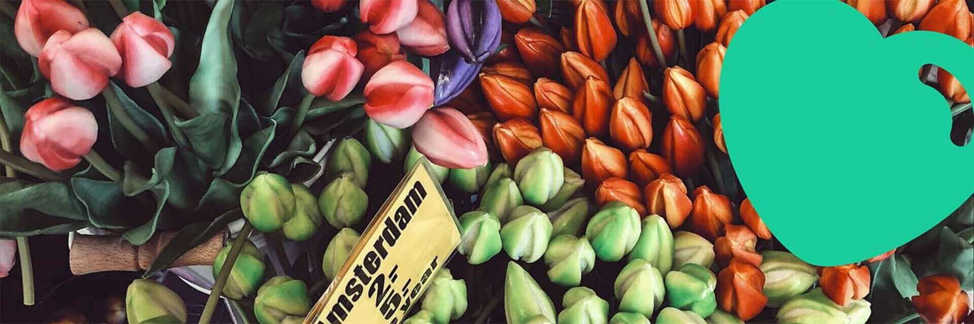 Amsterdam Climate Week