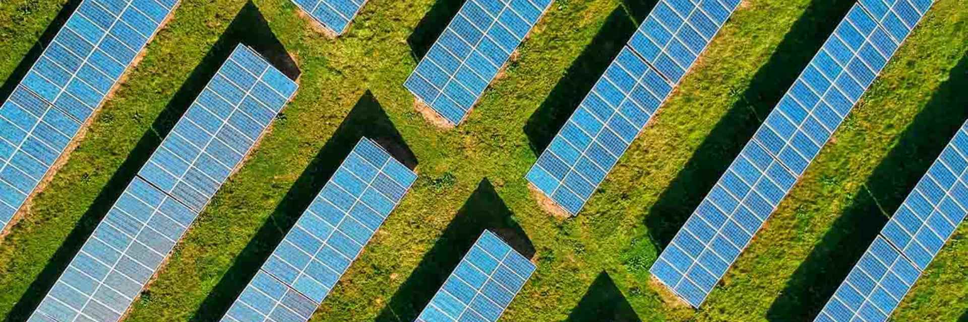 Day 5, Decarbonization