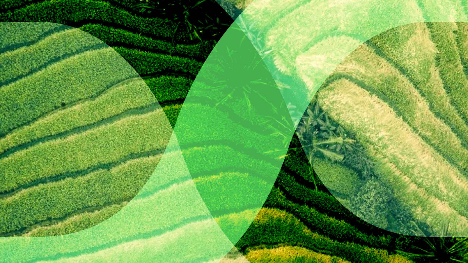 Exponential Race to Zero — Food & Land