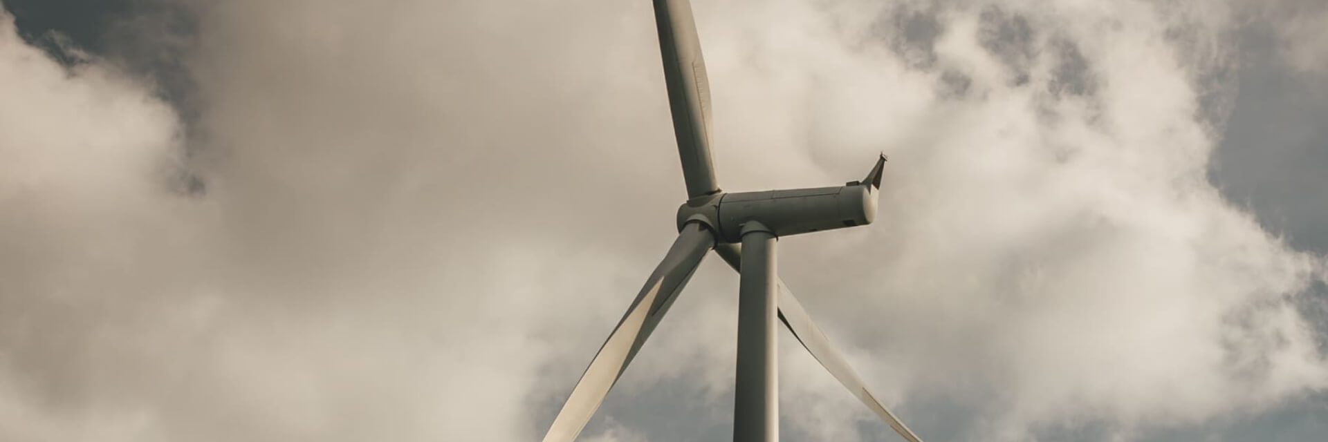 Day 8, Energy & Action For Climate Empowerment