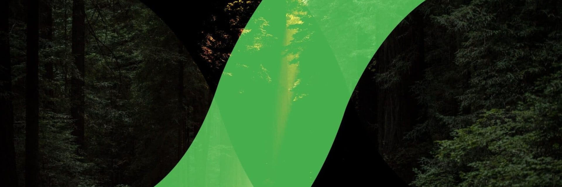 Day 9, Exponential Solutions in The Race To Zero