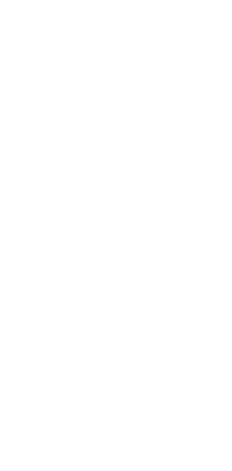 UNDP