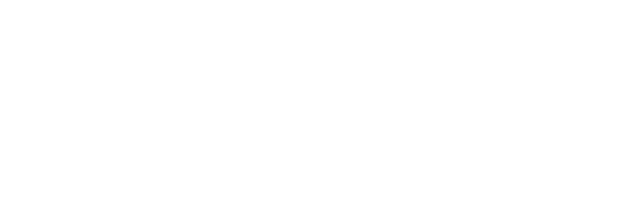 The New Division