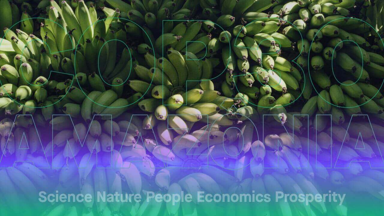 11:30 BRT / 15:30 CET — Science Briefings: Global Tipping Points