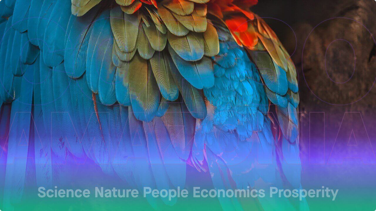 11:30 BRT / 15:30 CET — Science Briefings: The State of Global Methane Action