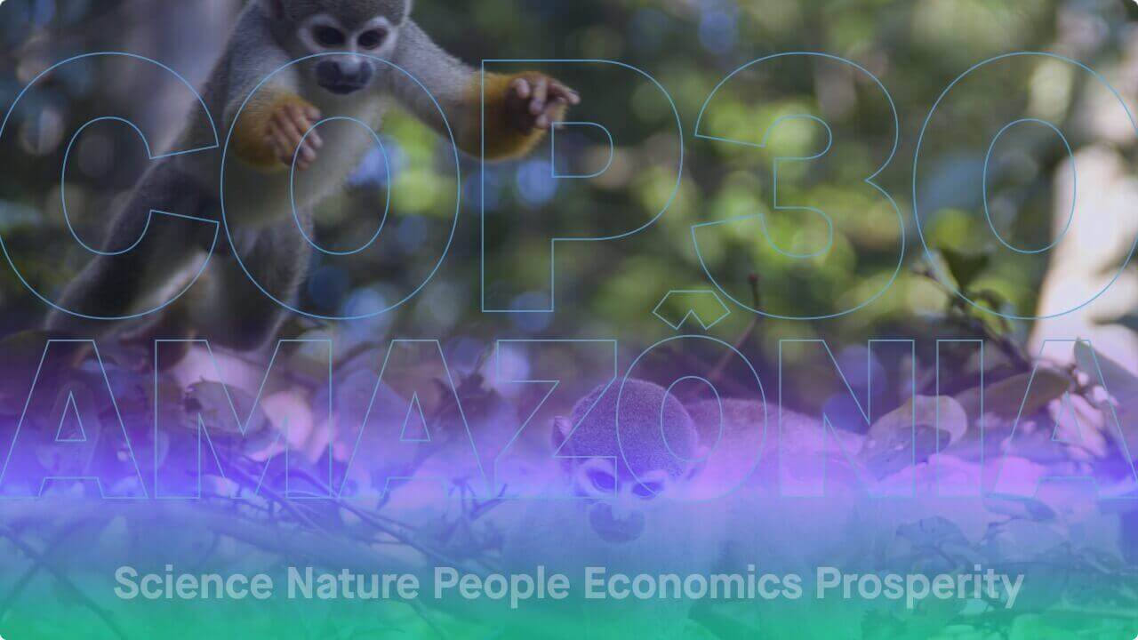 11:30 BRT / 15:30 CET — Science Briefings