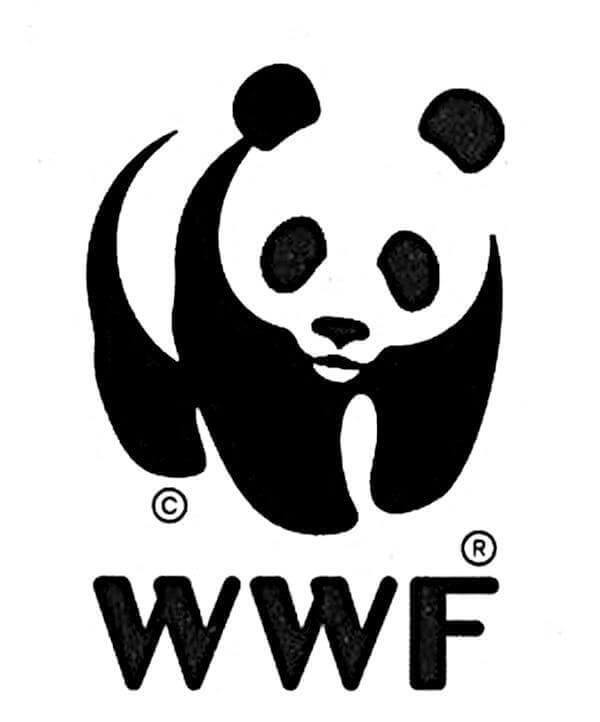 How the World Wildlife Fund logo was designed – Creative Review
