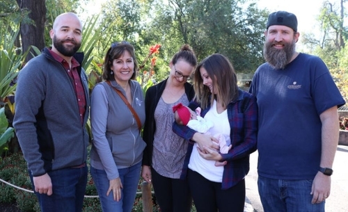 Flu Shots and the Denver Zoo