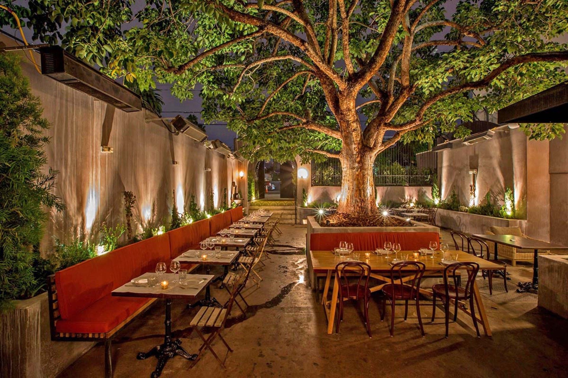 Cozy outdoor restaurant seating under a large tree with ambient lighting at night.