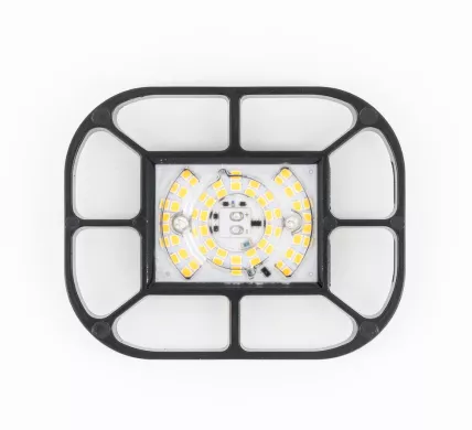SUNBIRD 5watt LED