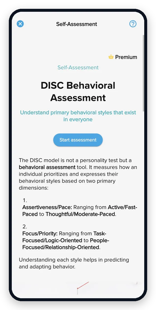 Rocky.ai DISC self-assessment: introduction, questions and personal results